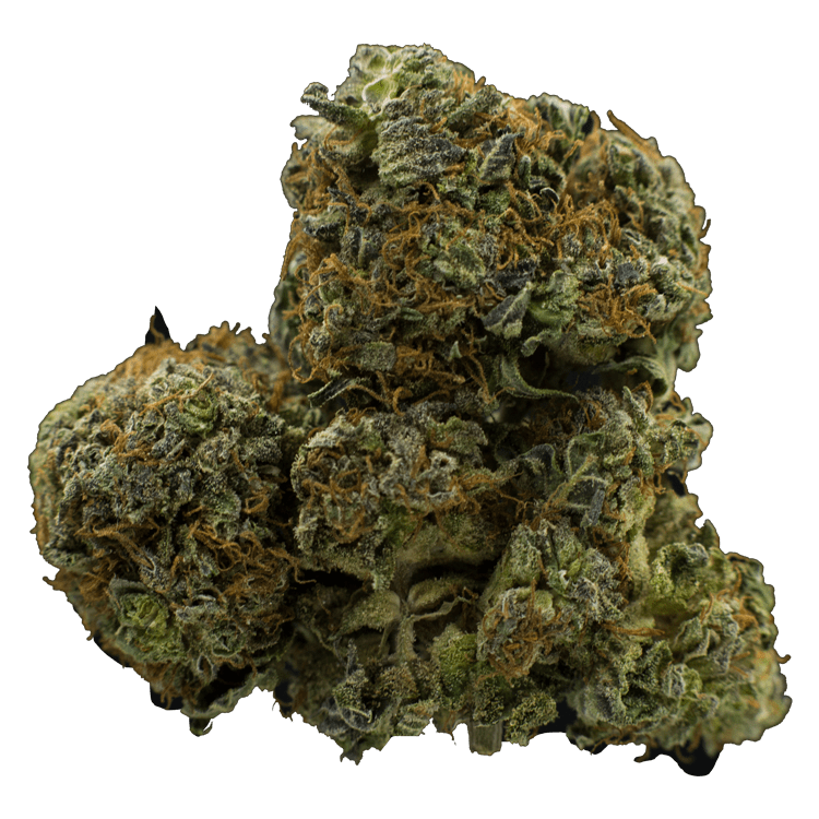 Nukem | BC Weed Edible Canada Nukem | BC Weed Edible Canada