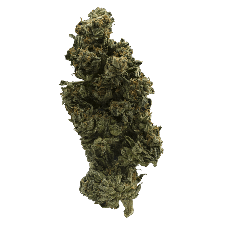 Pink Gorilla – 1 Ounce | BC Weed Edible Canada