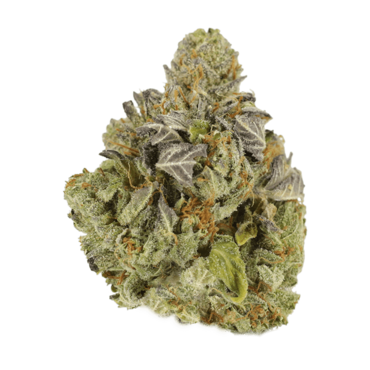 Jet Fuel | BC Weed Edible Canada