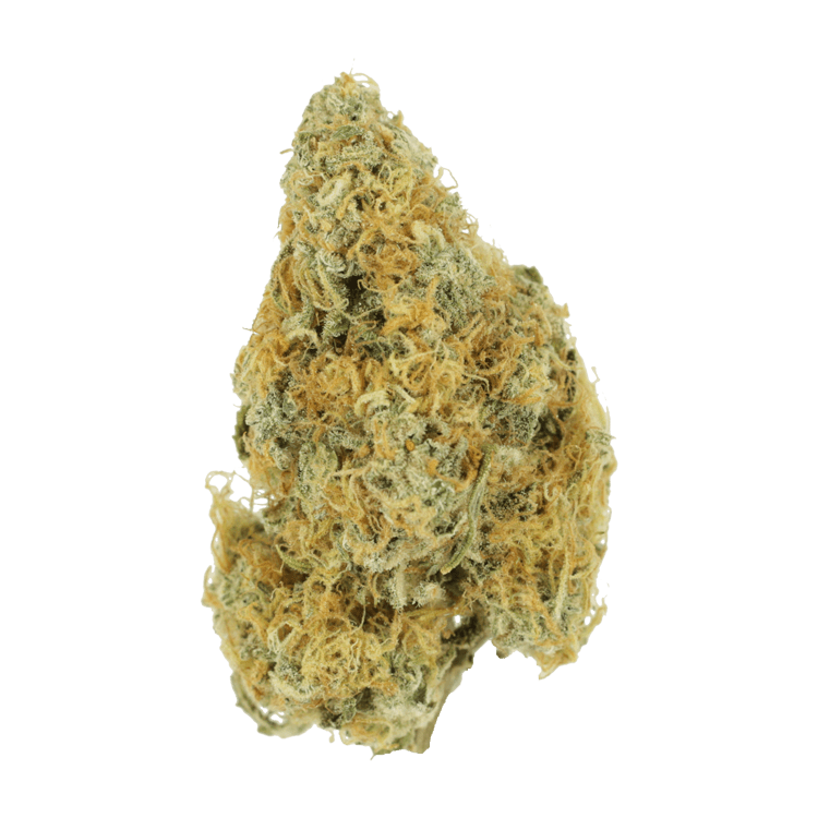 Alien OG (Popcorn) – 2OZ/$69 | BC Weed Edible Canada