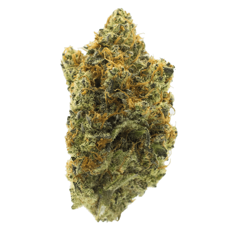 Peyote Cookies | BC Weed Edible Canada