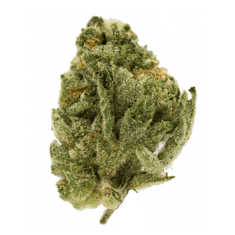 Orangeaid | BC Weed Edible Canada Orangeaid | BC Weed Edible Canada