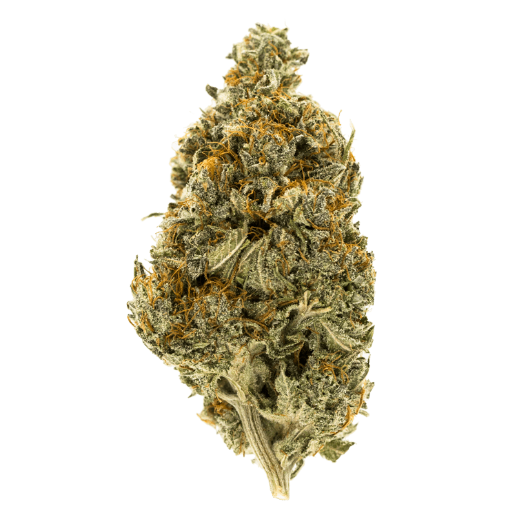 Westcoast Sour Diesel | BC Weed Edible Canada