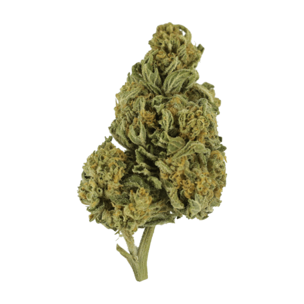 Blackwater | BC Weed Edible Canada Blackwater | BC Weed Edible Canada