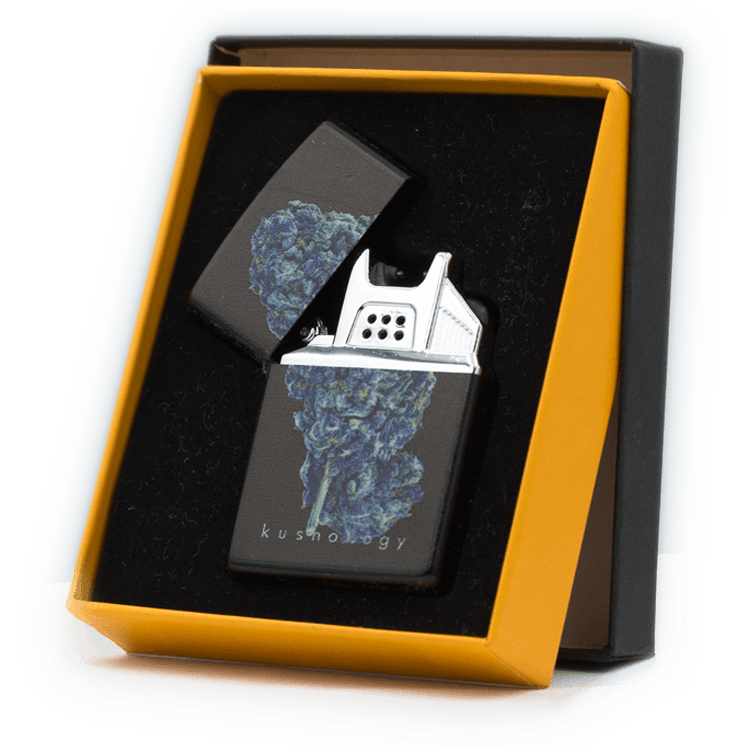 Kushology – Single Arc Plasma Lighter | BC Weed Edible Canada Kushology – Single Arc Plasma Lighter | BC Weed Edible Canada