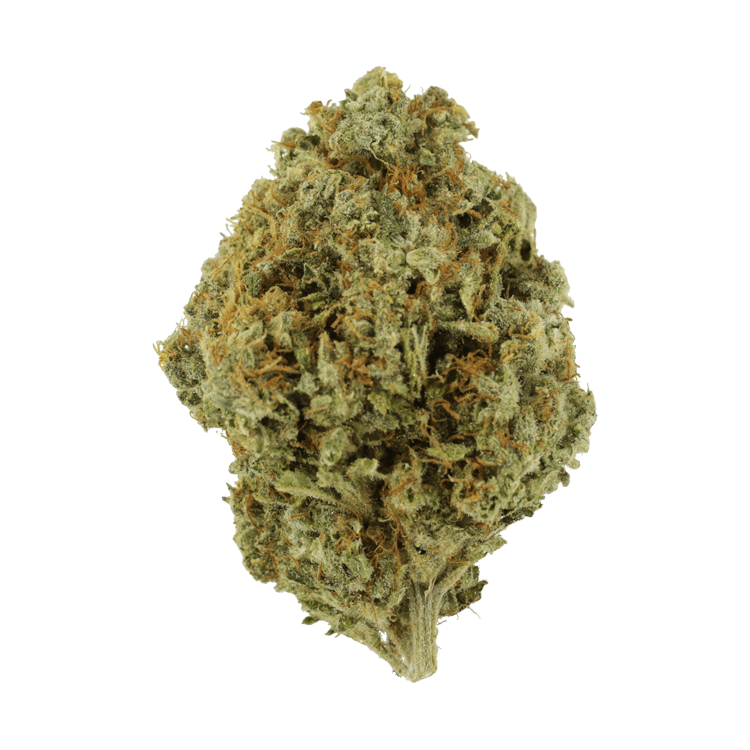 Orange Barb | BC Weed Edible Canada