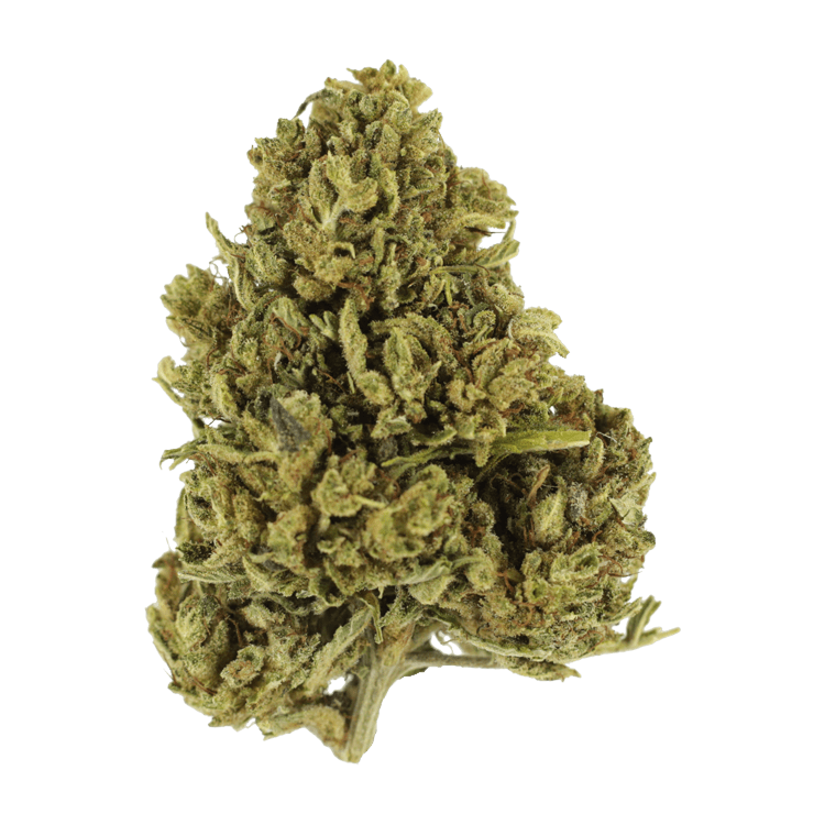 Cherry Wine (CBD) | BC Weed Edible Canada