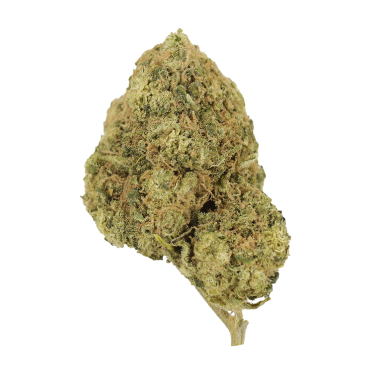 Mr Clean | BC Weed Edible Canada Mr Clean | BC Weed Edible Canada