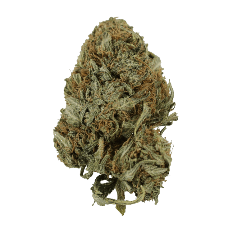 Kandy Kush | BC Weed Edible Canada