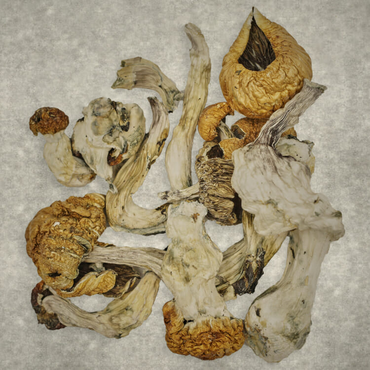 Z Farm | BC Weed Edible Canada