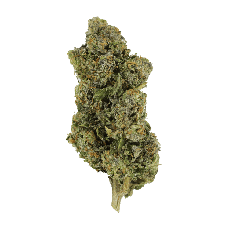 Jokerz | BC Weed Edible Canada