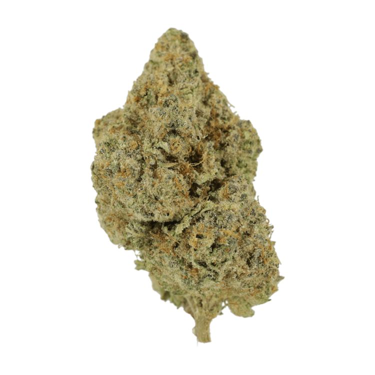 Wookies | BC Weed Edible Canada