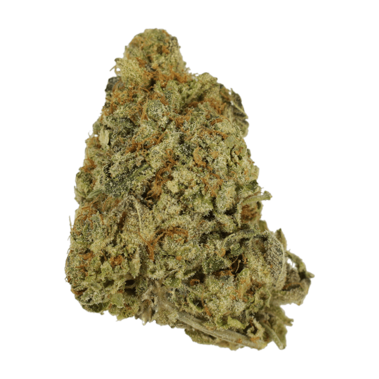 G Whiz | BC Weed Edible Canada