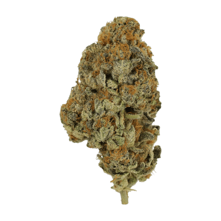 Key Lime Pie | BC Weed Edible Canada