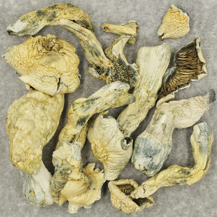 White Burma | BC Weed Edible Canada