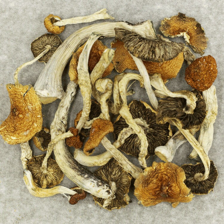 Big Daddy | BC Weed Edible Canada Big Daddy | BC Weed Edible Canada