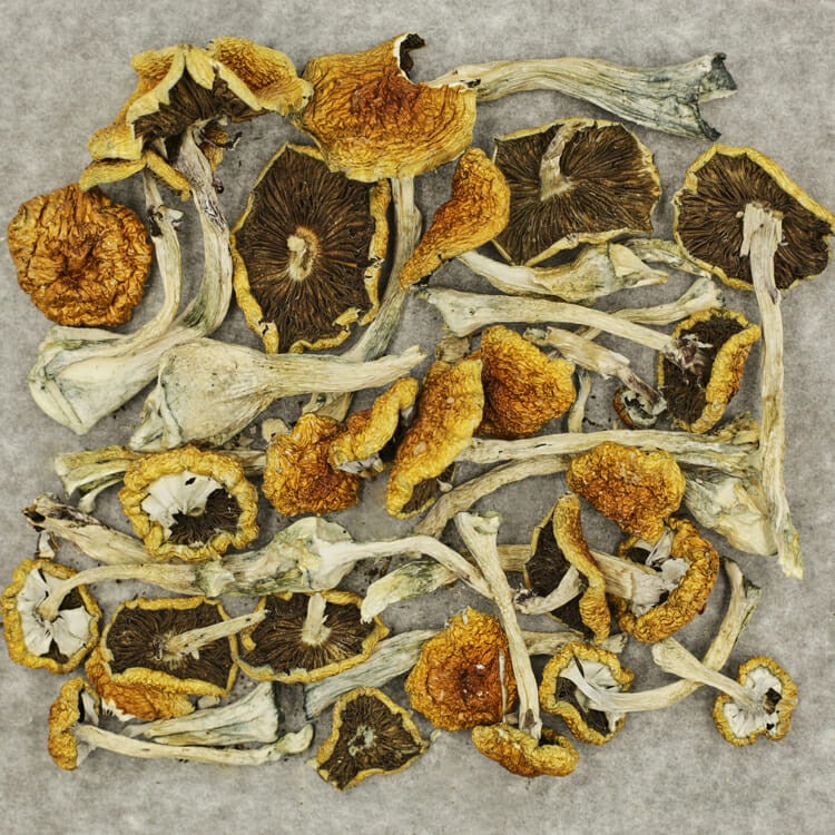 Tanam Negara | BC Weed Edible Canada