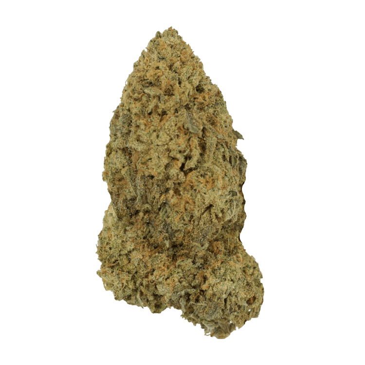 Amnesia Haze | BC Weed Edible Canada