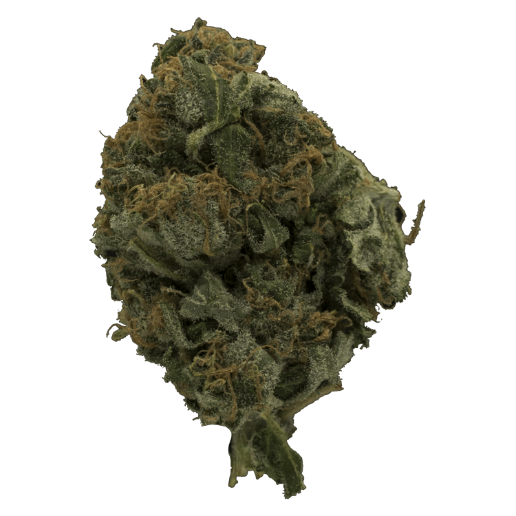 Sweet Cheese $45 / OZ | BC Weed Edible Canada