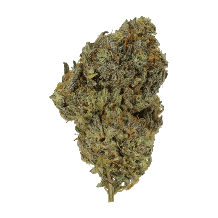 Yeti OG | BC Weed Edible Canada