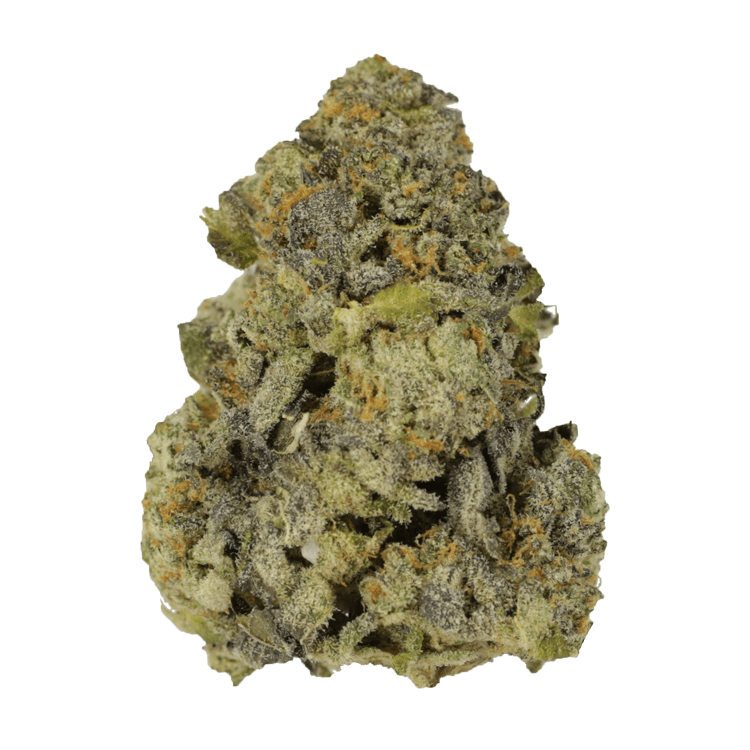 Purple Widow | BC Weed Edible Canada Purple Widow | BC Weed Edible Canada