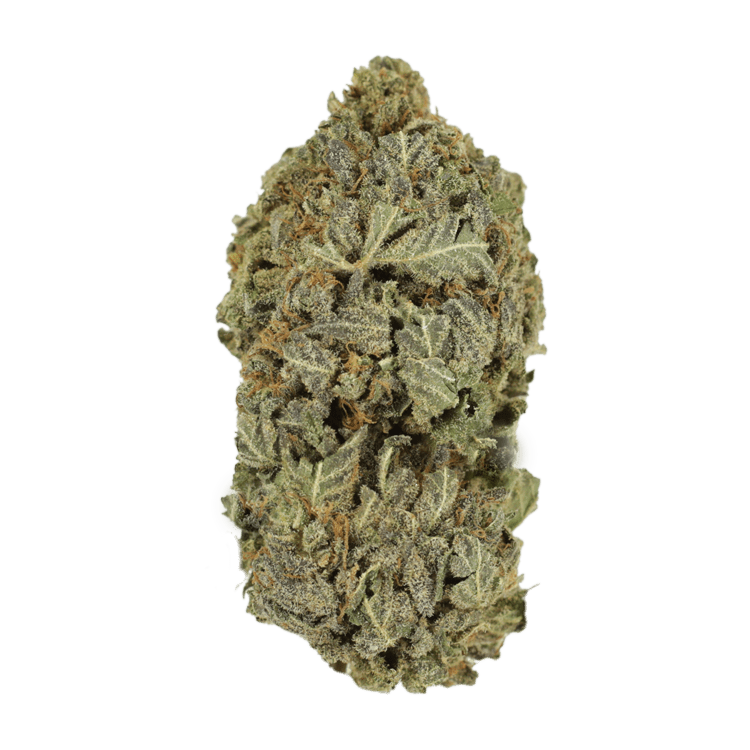 Purple Mimosa | BC Weed Edible Canada